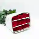 Rosas Tipo Exportación