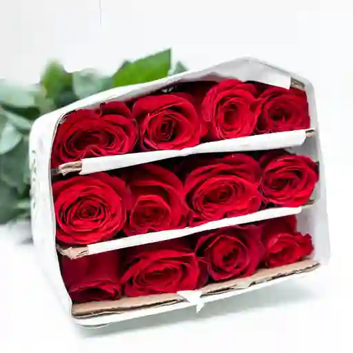 Rosas Tipo Exportación
