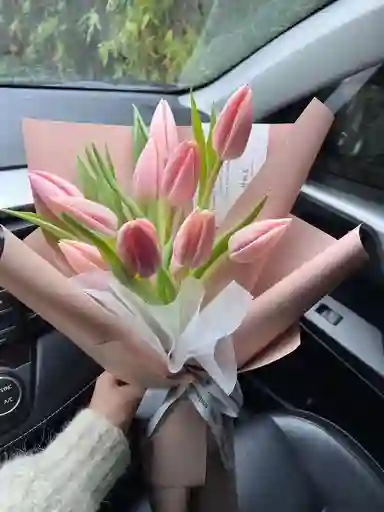 Bouquet Tulipanes X10 Tallos