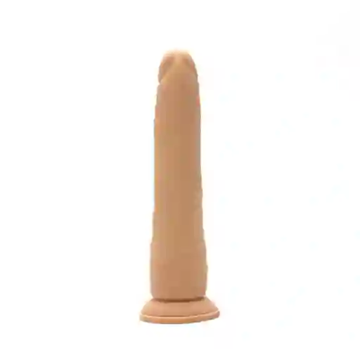 Dildo Realista Senyx 19 Cm Camtoyz