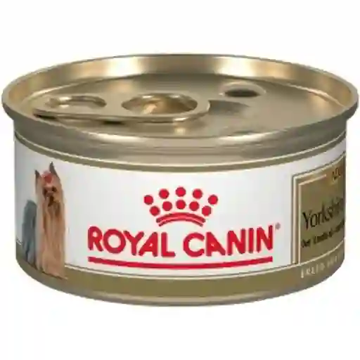 Royal Canin Lata Yorkshire X 85g