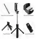 Monopod Beston