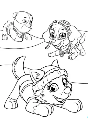 Paginas Para Colorear Paw Patrol X6 Papel Normal Carta