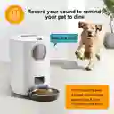 Comedero Dispensador Automatico Para Perros Gatos Voz