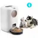 Comedero Dispensador Automatico Para Perros Gatos Voz