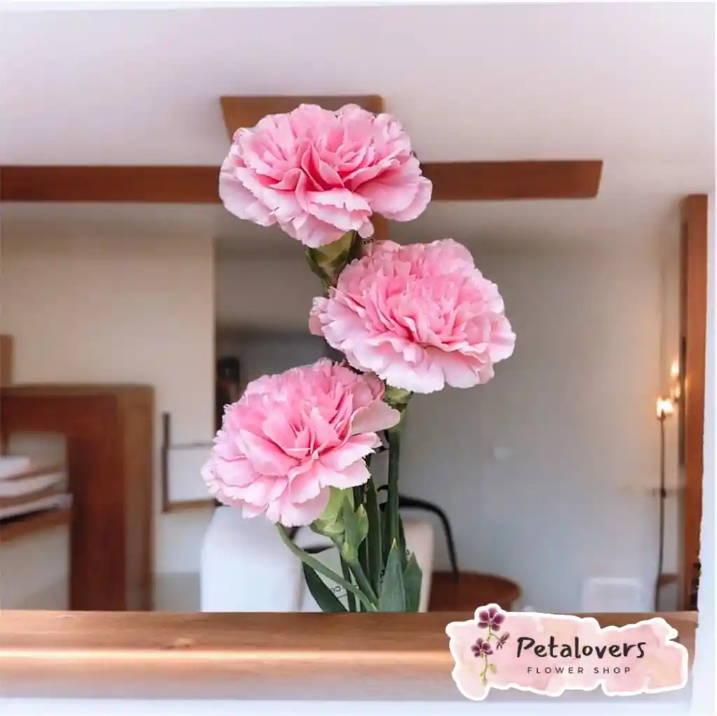 Flores Bouquet De 3 Claveles