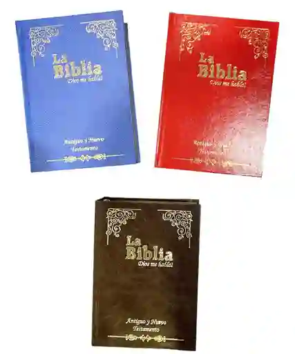 Biblia Tapa Dura 18 X 12 Cm,