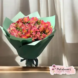 Flores Rosas Bouquet De Astromelias