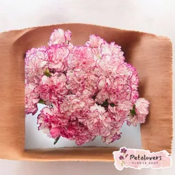 Flores Bouquet De Claveles Rosados