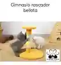 Gimnacio Pequeño Bellota Para Gato