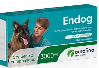 Endog 300mg X 1 Pastolla