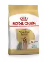 Royal Canin Yorkshire Terrier 2.5lbs Yorkshire Royal Razas Mini Pequeñas