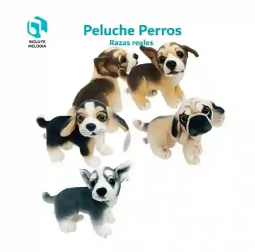 Peluche Perro Razas Con Sonido Medidas Largo 25 X Alto 18 Cm