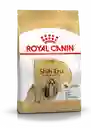 Royal Canin Shih Tzu 3 Lbs Shih Tzu Adulto Razas Pequeñas Royal Canin