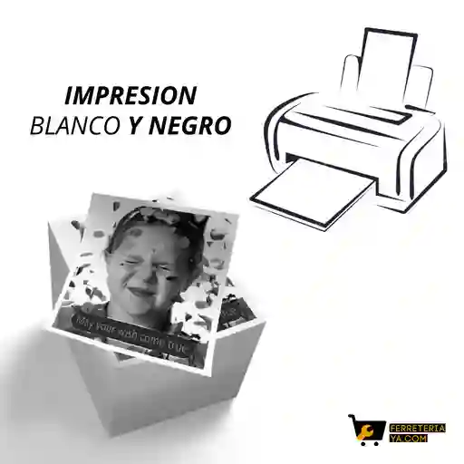Impresion A Blanco / Negro