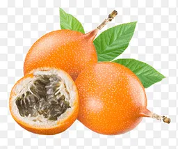 Granadilla