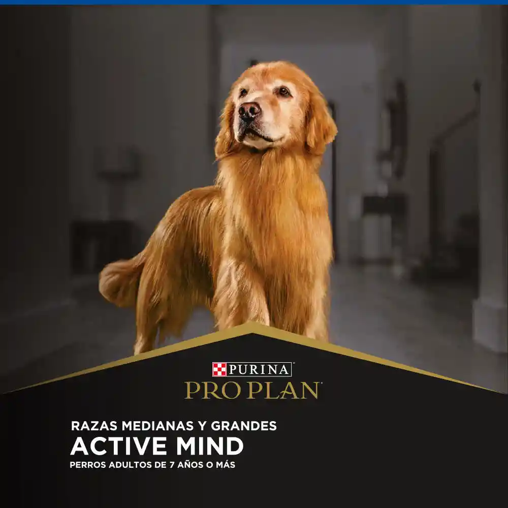 Pro Plan Alimento para Perro Adulto Active Mind Raza Medianas