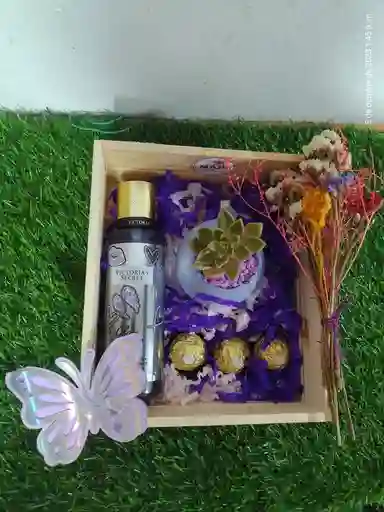 Regalo Madera Con Suculenta Y Splash