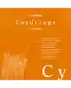 Cápsulas Cordyceps Vital Setas