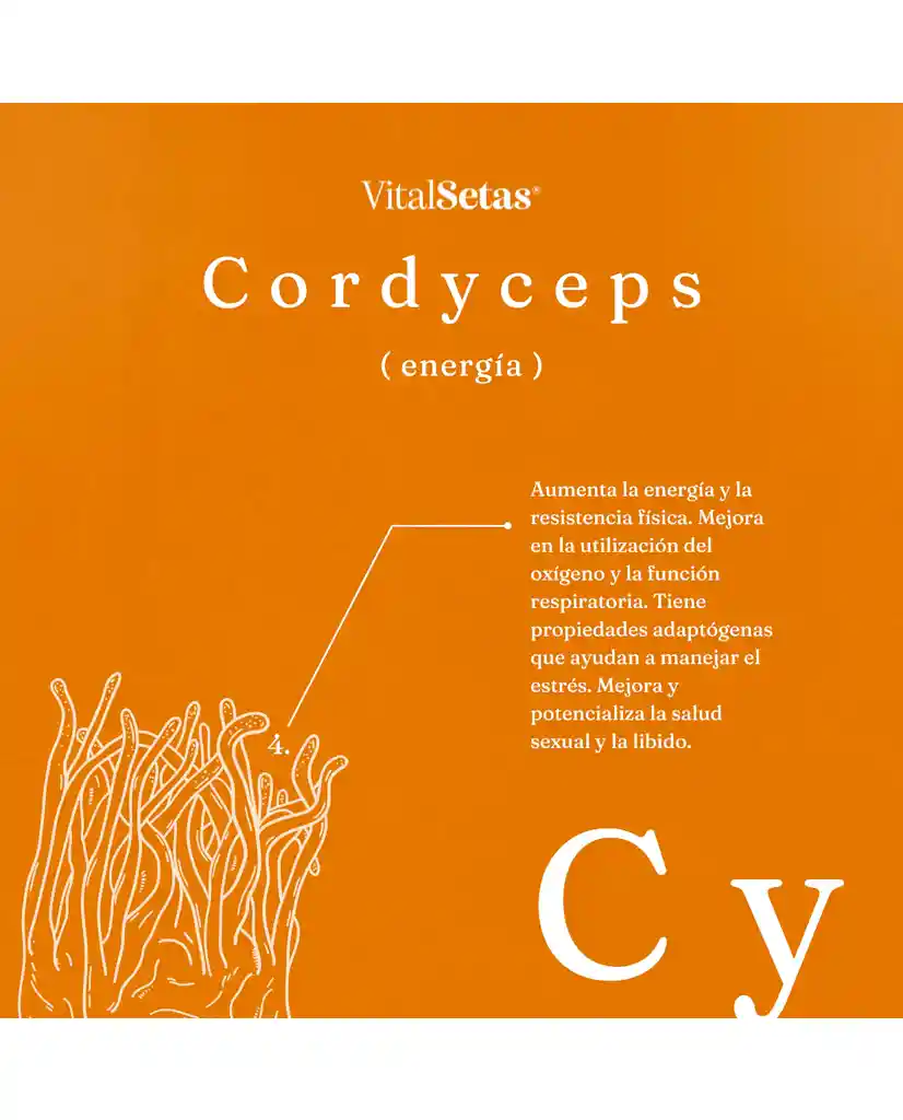 Cápsulas Cordyceps Vital Setas