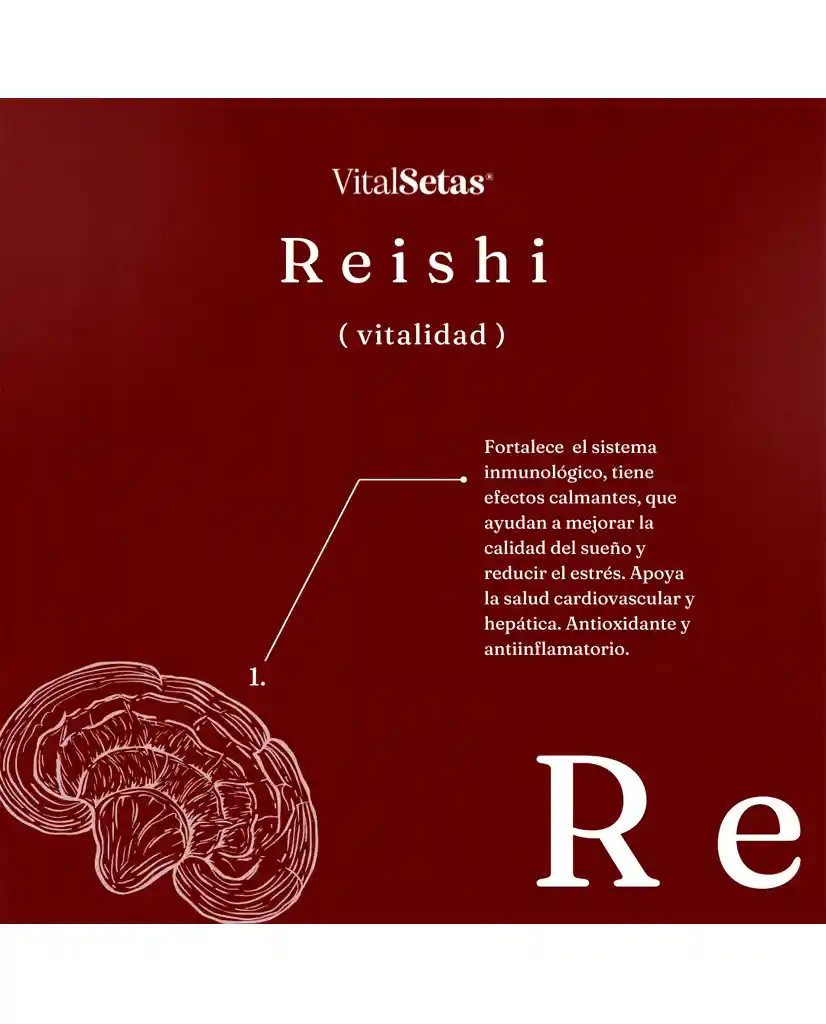 Reishi Vital Setas 60 Cápsulas