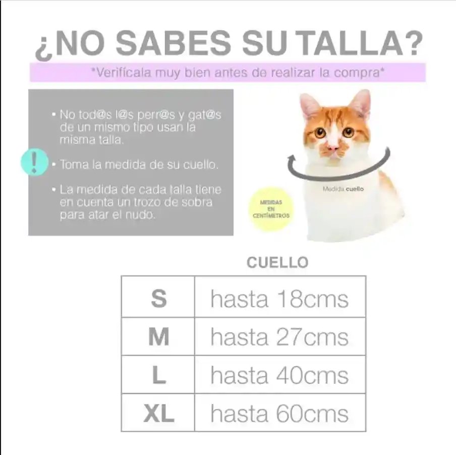 Pañoleta Xl Diversidad