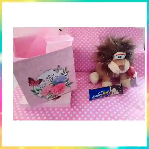 Peluche Con Caja