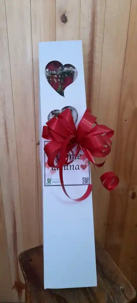 Caja Con 24 Rosas