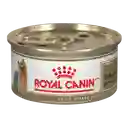 Royal Canin Yorkshire Wet Adulto Lata