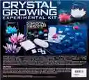 Juego De Experimento Cultivo De Cristales 4m Para Niños