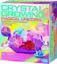 Juego De Experimento Cristales Unicornios 4m Para Niños