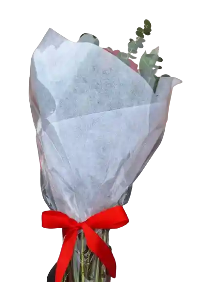 Bouquet De 30 Rosas Rojas Con Eucalipto