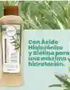 Acondicionador De Romero Y Oleo Capilar De Argan Anyeluz