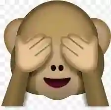 Cojin Emoji Monito Pena