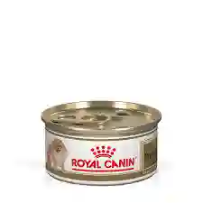 Royal Canin Pomerania Adulto Lata