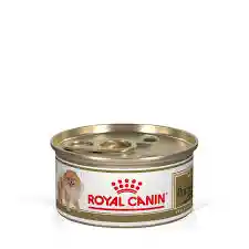 Royal Canin Pomerania Adulto Lata