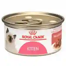 Royal Canin Feline Kitt Loaf Wet X 85 Grs