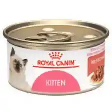 Royal Canin Feline Kitt Loaf Wet X 85 Grs