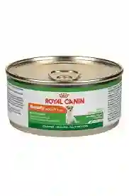 Royal Canin Adulto Beauty Wet X 150 Grs