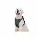 Pechera Para Mascotas Perros Con Absorción De Impactos Talla L