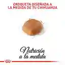 Royal Canin Bhn Chihuahua Adulto - 1.3 Kg