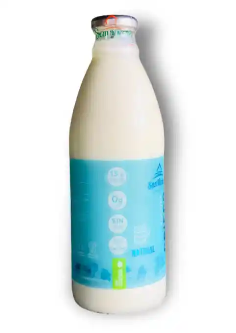 Yogurt Griego Bebible Nat X1lt San Martin