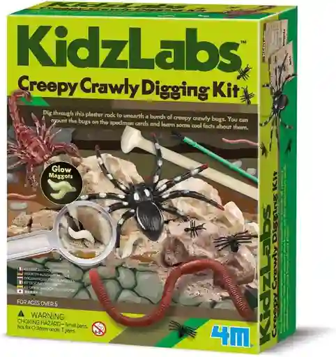 Juego De Experimento Excavación De Insectos Para Niños