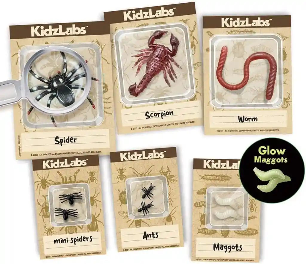 Juego De Experimento Excavación De Insectos Para Niños