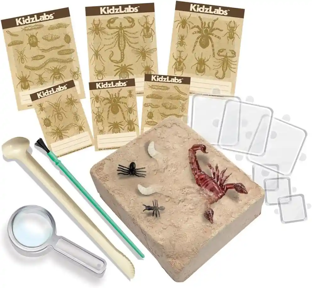 Juego De Experimento Excavación De Insectos Para Niños