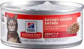 Hills Feline Adulto Lata Salmon X 156 Grs