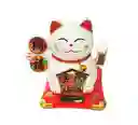 Gato De La Suerte Feng Shui Maneki Neko Medallas Porcelana