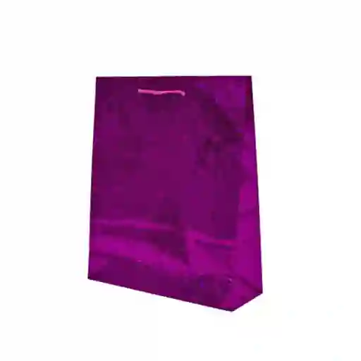 Bolsa De Regalo Holograma L Color Fucsia