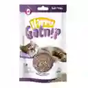 1 Catnip Gatnip Hierba Gatera Gatos Gatitos Felinos