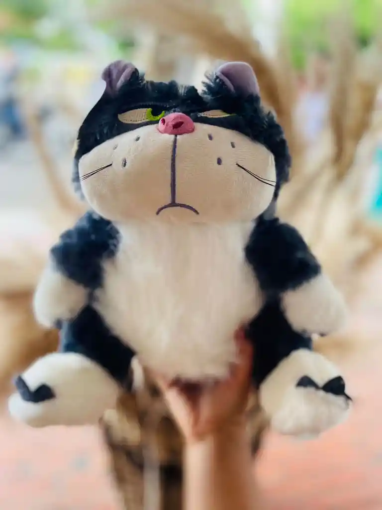 Peluche Gato Amargado